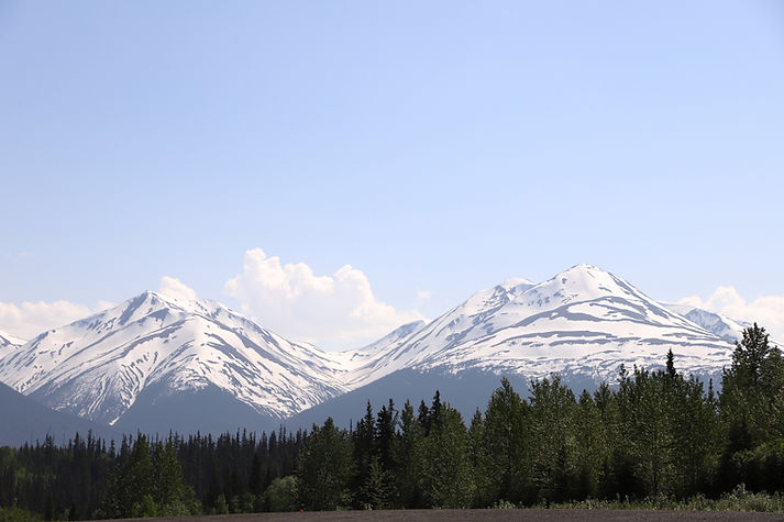 Green trees in front of snow covered mountains